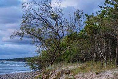 CS_GO美国高校联赛激战正酣，csgo高校联赛排名