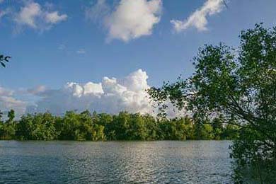 DOTA 2全球粉丝见面会举行，dota2全球活跃人数2021年