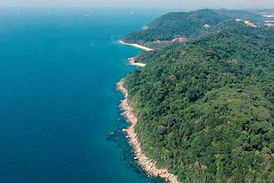 F1巴西站落幕，维斯塔潘再夺分站冠军，f1赛车巴西站